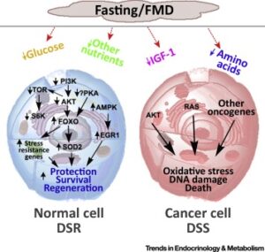 How Fasting Before Chemotherapy May Reduce Side Effects & Improve Efficacy