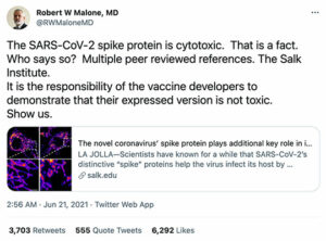 Covid Vaccines & Potential Spike Protein Toxicity
