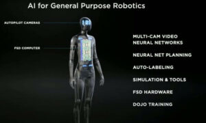 Tesla Robots and Mars – The Connection